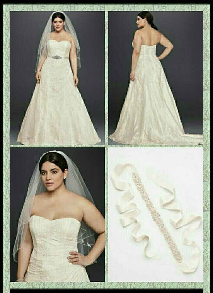 I got my dress today!