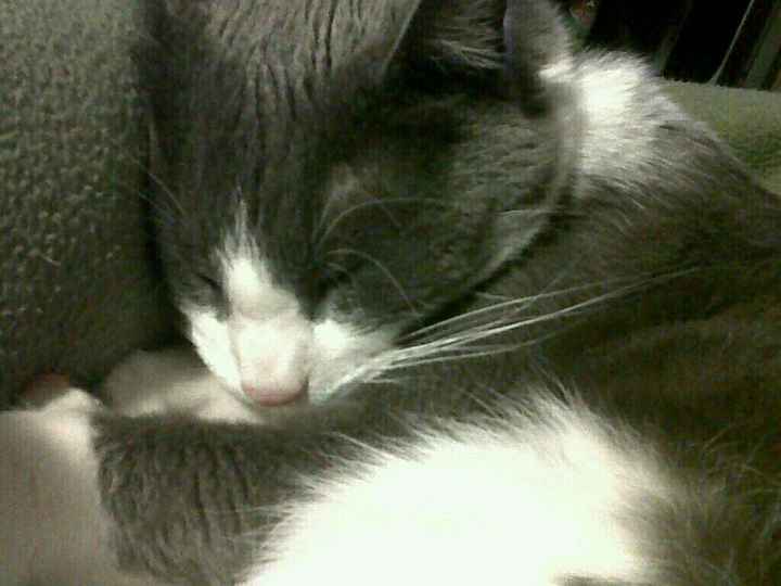 NWR Our newest addition to the family