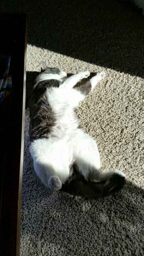 NWR: you and furbaby pic!