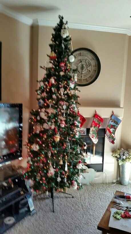 NWR-show me your Xmas trees