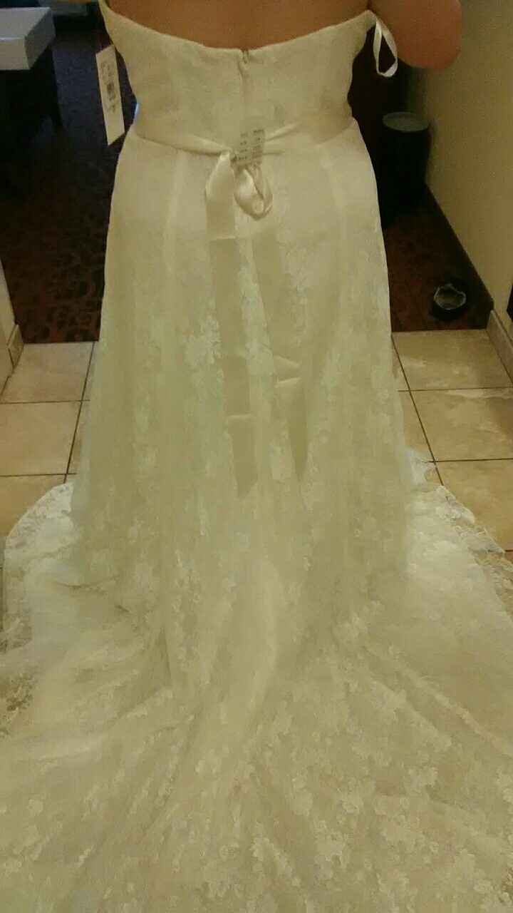 I got my dress today!