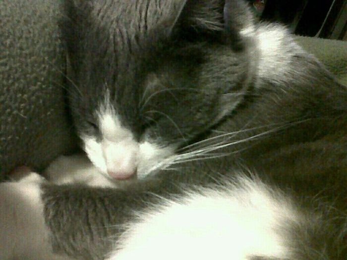 NWR Our newest addition to the family