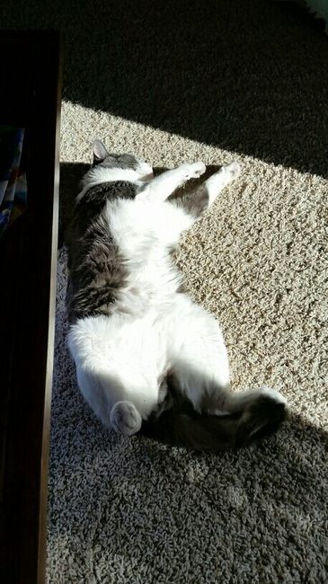 NWR: you and furbaby pic!