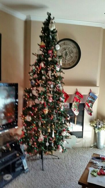 NWR-show me your Xmas trees