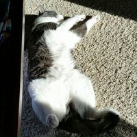 NWR: you and furbaby pic!