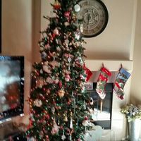 NWR-show me your Xmas trees