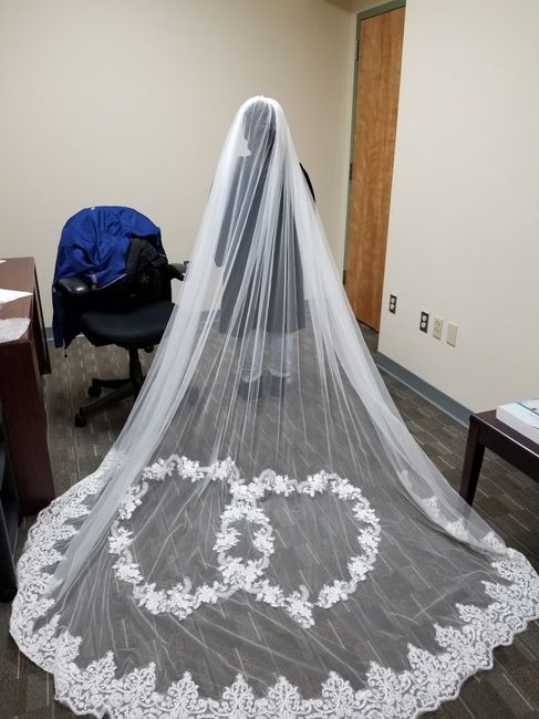 Where did you get your veil and how much?? - 1