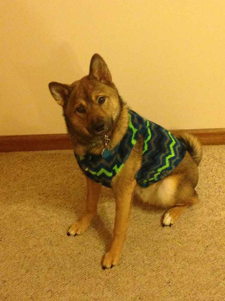 Can you please spill. . .