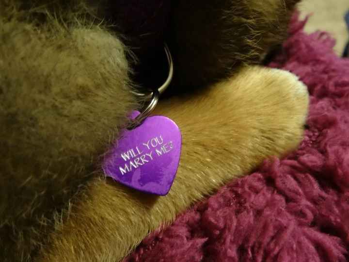 Here's how he proposed! (pics) How did your proposal go!?!