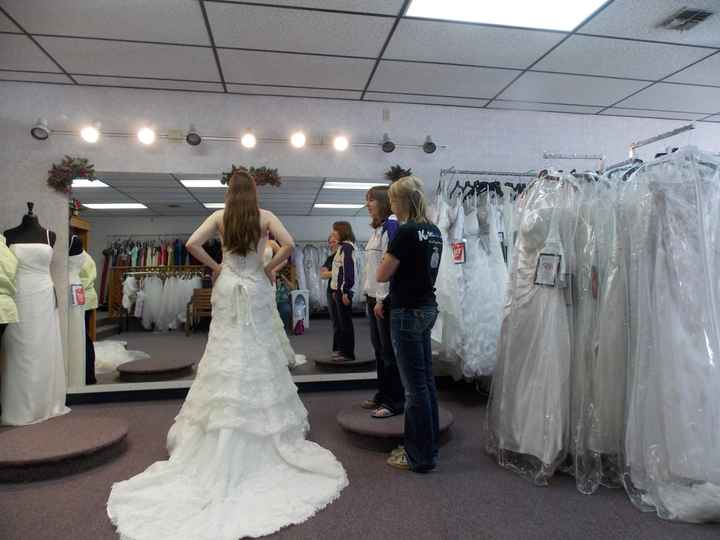 Went To Final Dress Fitting - Still in Love (Some pictures!)