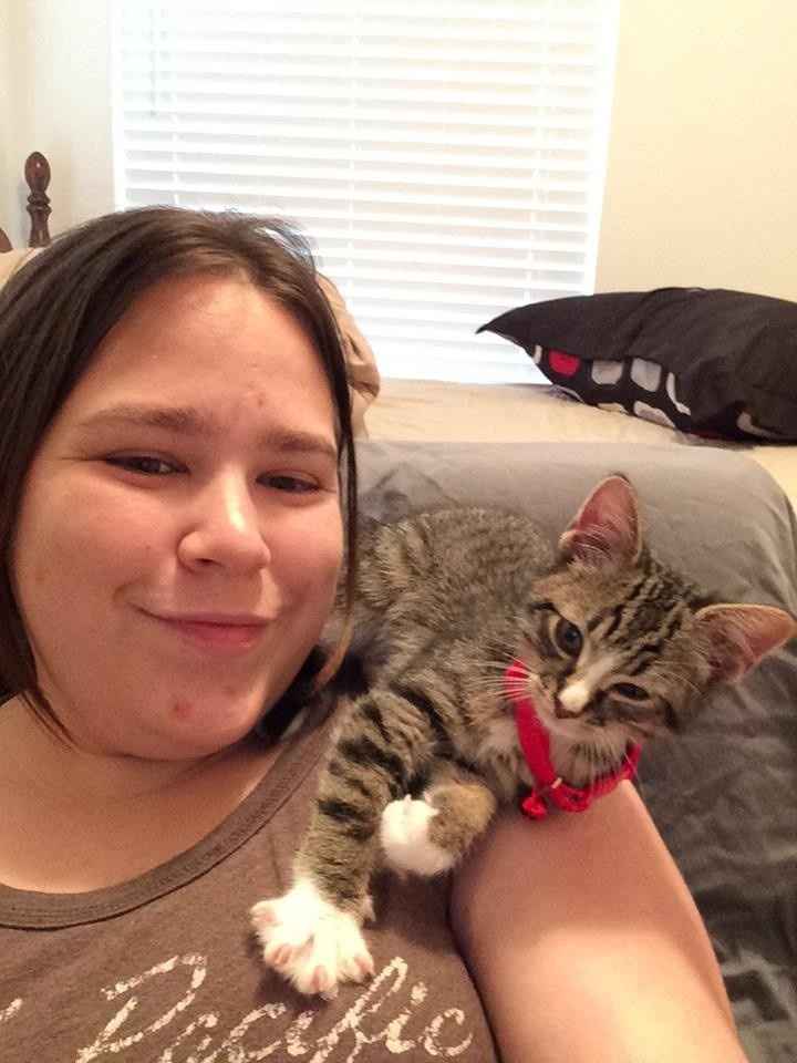 Nwr: we just adopted a new kitty