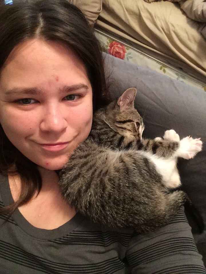 Nwr: we just adopted a new kitty