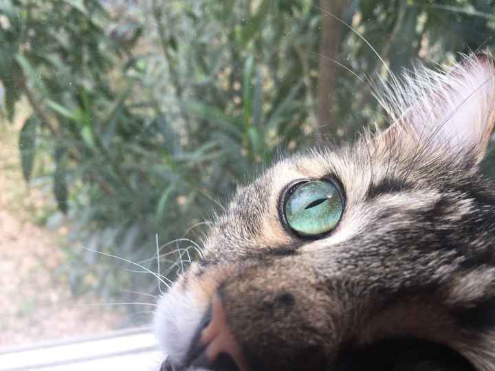 Fur baby friday!