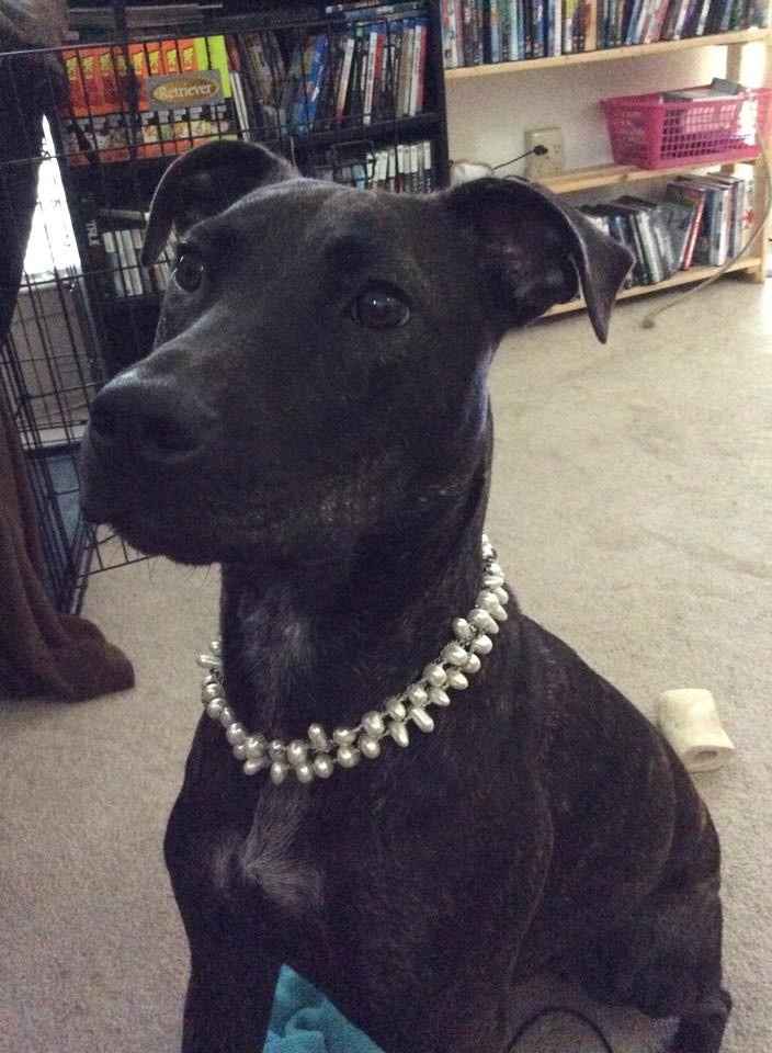 A necklace as a headpiece...