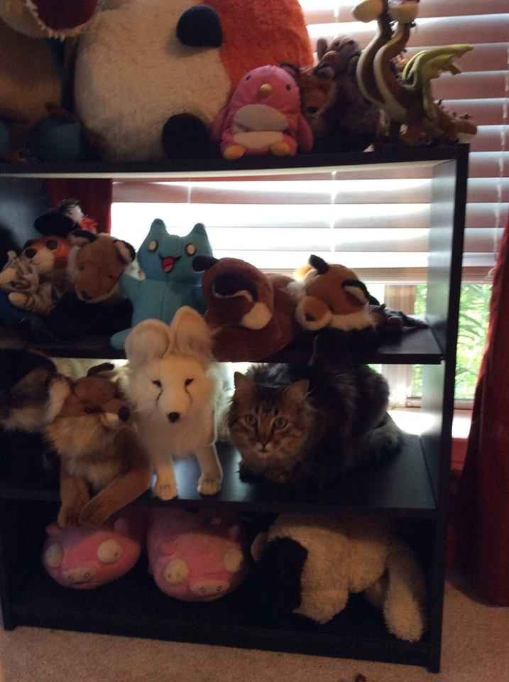 Furbaby Friday!