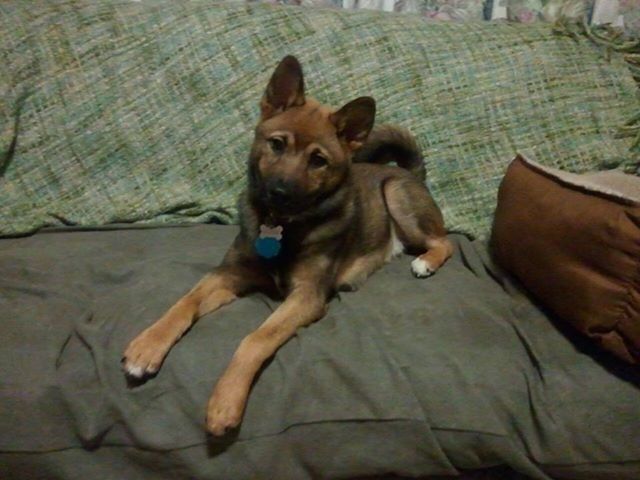 Meet my baby !