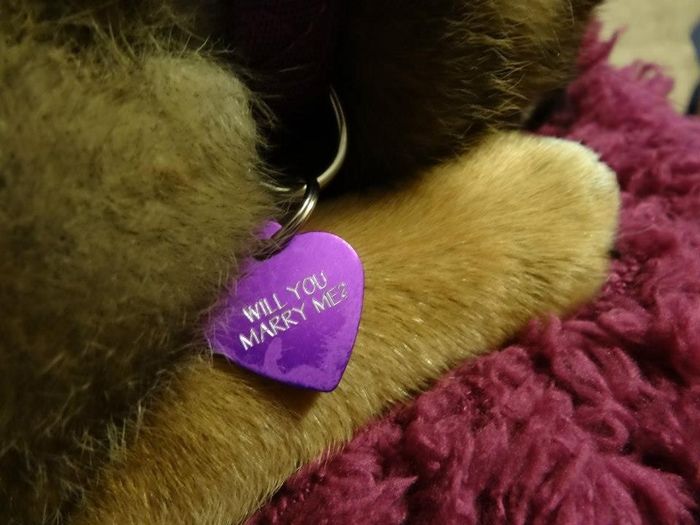 How did he/she propose?