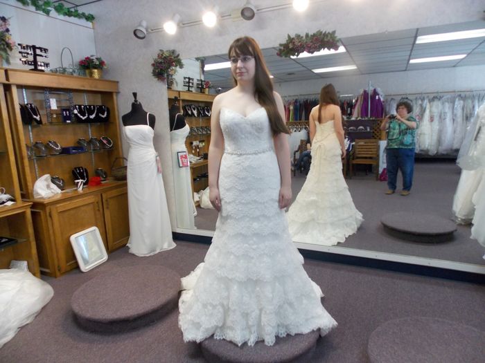 Went To Final Dress Fitting - Still in Love (Some pictures!)