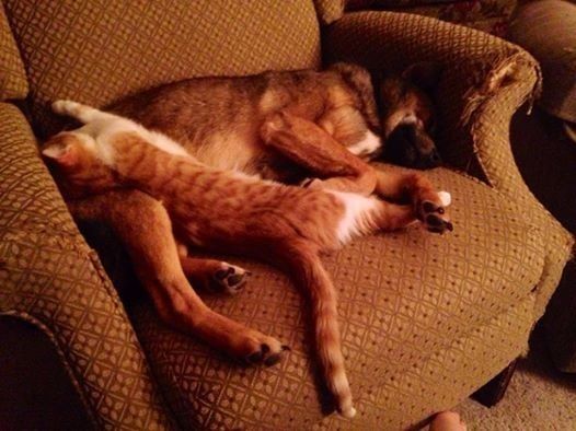 NWR- Fuzzy buddies