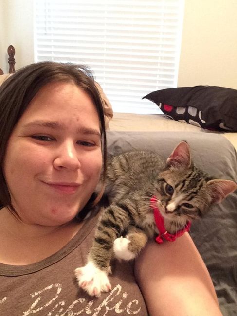 Nwr: we just adopted a new kitty