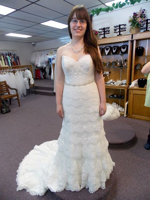 Went To Final Dress Fitting - Still in Love (Some pictures!)