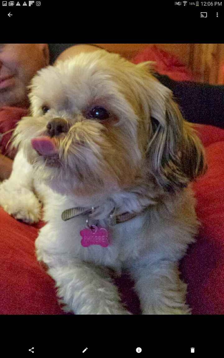 NWR: Bored? Show off your pets!