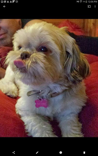 NWR: Bored? Show off your pets!