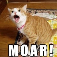NWR - Cat meme thread!