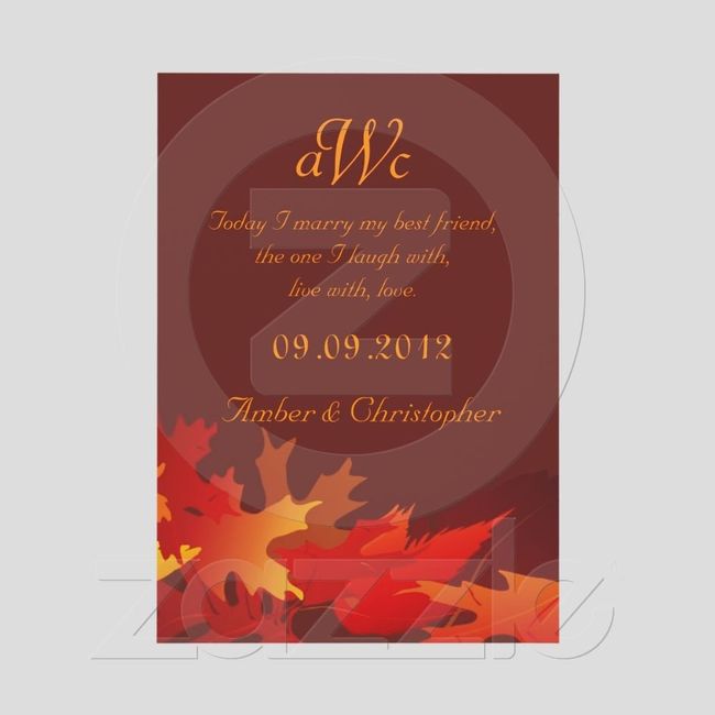 my wedding invites are here!!!!!!! pics included