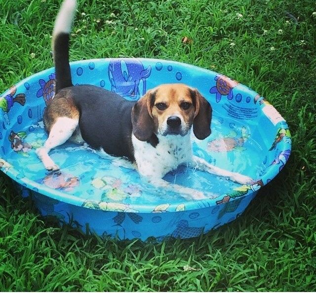 Fur baby friday!