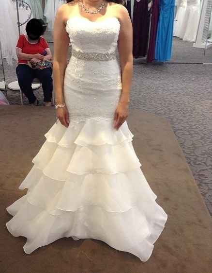 Let me see YOUR dresses ladies!