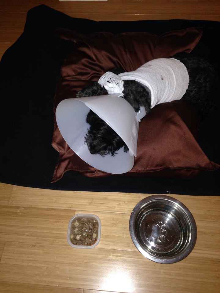 Before I post my BAM *crazy events*