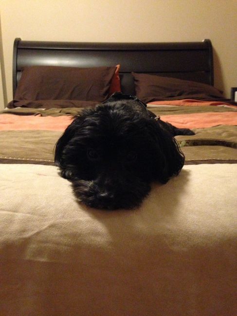 Its Fursday! Show me your furbabies! :)