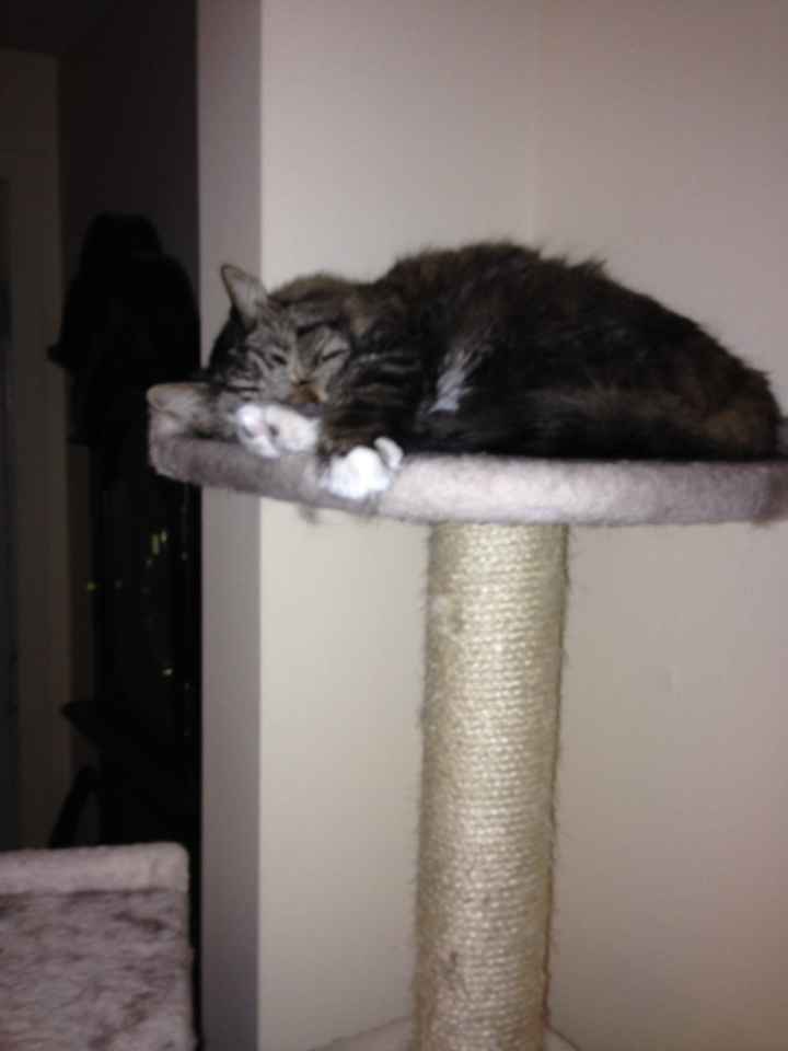 Rough day.