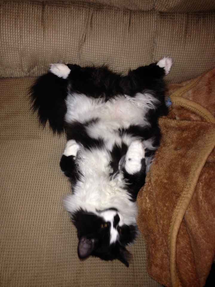 Rough day.