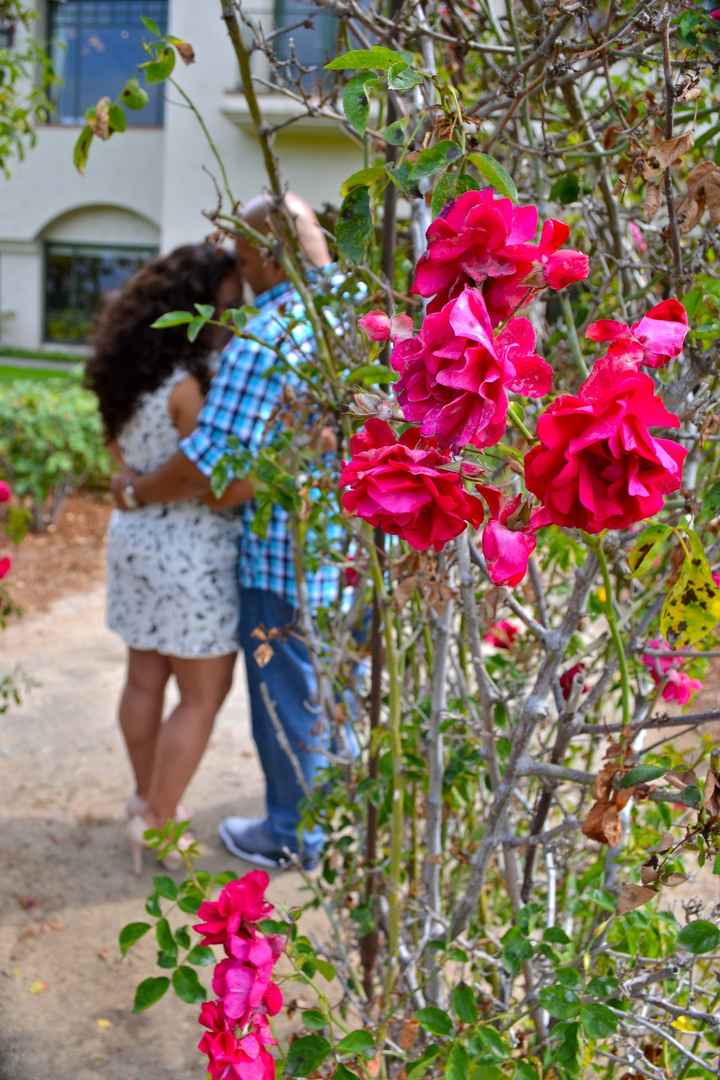ENGAGEMENT PHOTOS!!