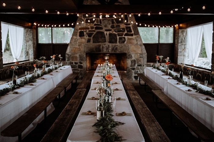 Thoughts on disposable plates vs rental plates 1