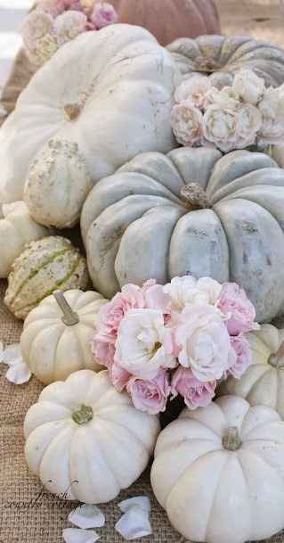 October Brides....PUMPKINS?