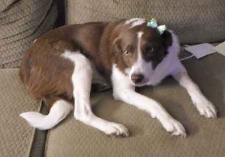 NWR: post pics of your pets!!