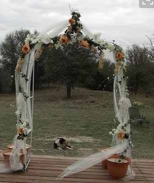Opinions on wedding arbor? (PIC)