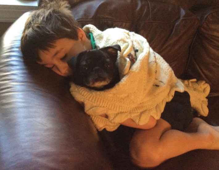 NWR: Dachshunds and other small dog owners
