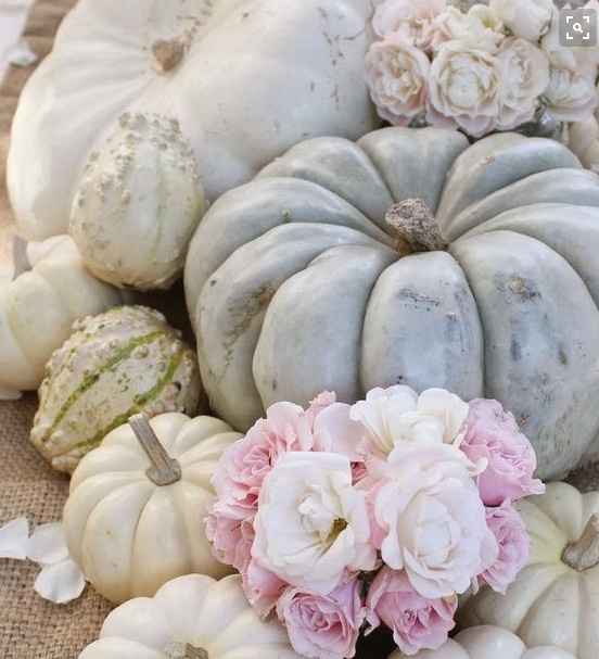 Pumpkins as centerpieces