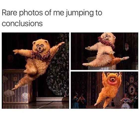 NWR: Memes & Cute Animal Pictures