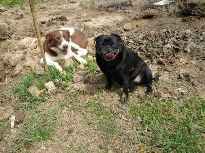 NWR: post pics of your pets!!