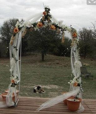 Opinions on wedding arbor? (PIC)