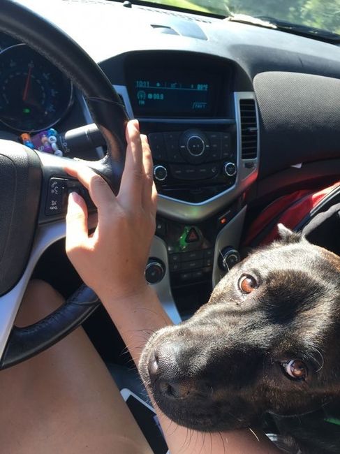 Spinoff: Show us your rescues!