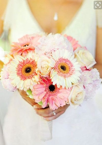 Color palette help!
