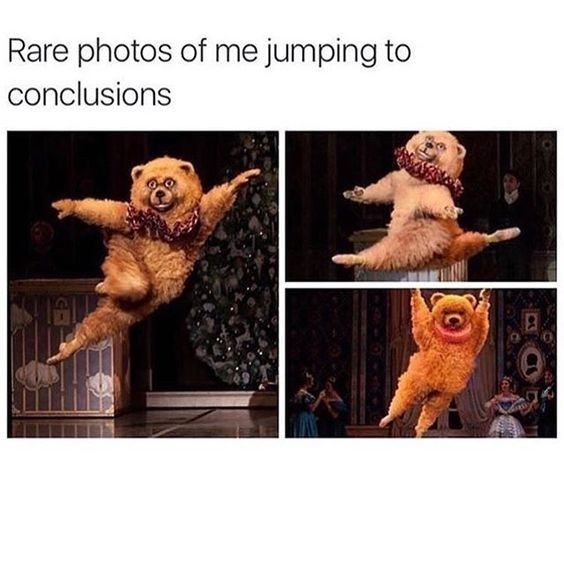 NWR: Memes & Cute Animal Pictures