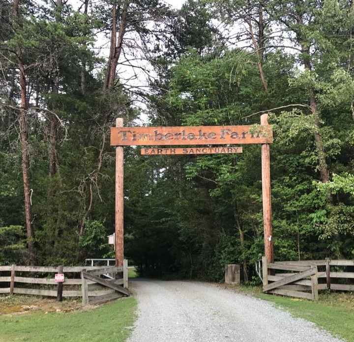 Couples getting married on Nov 16, 2019 in North Carolina - 1