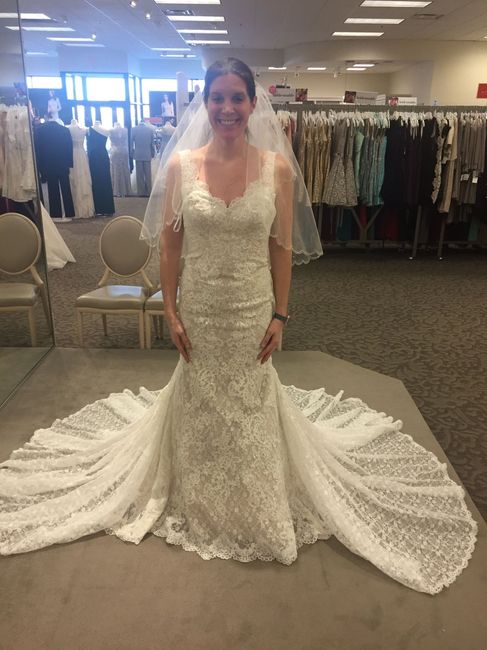 Found the Dress! But wedding isn't until 2018